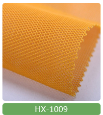 HX1009